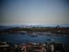 turkey2013247_small.jpg