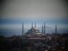 turkey2013249_small.jpg