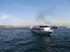 turkey2013262_small.jpg
