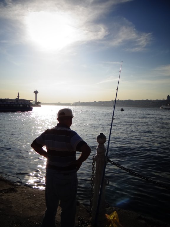 turkey2013265.jpg