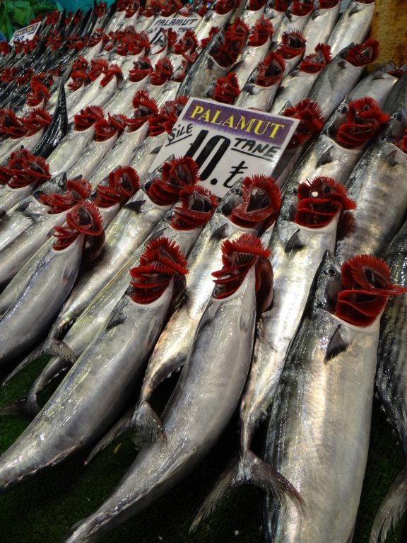 turkey2013269.jpg