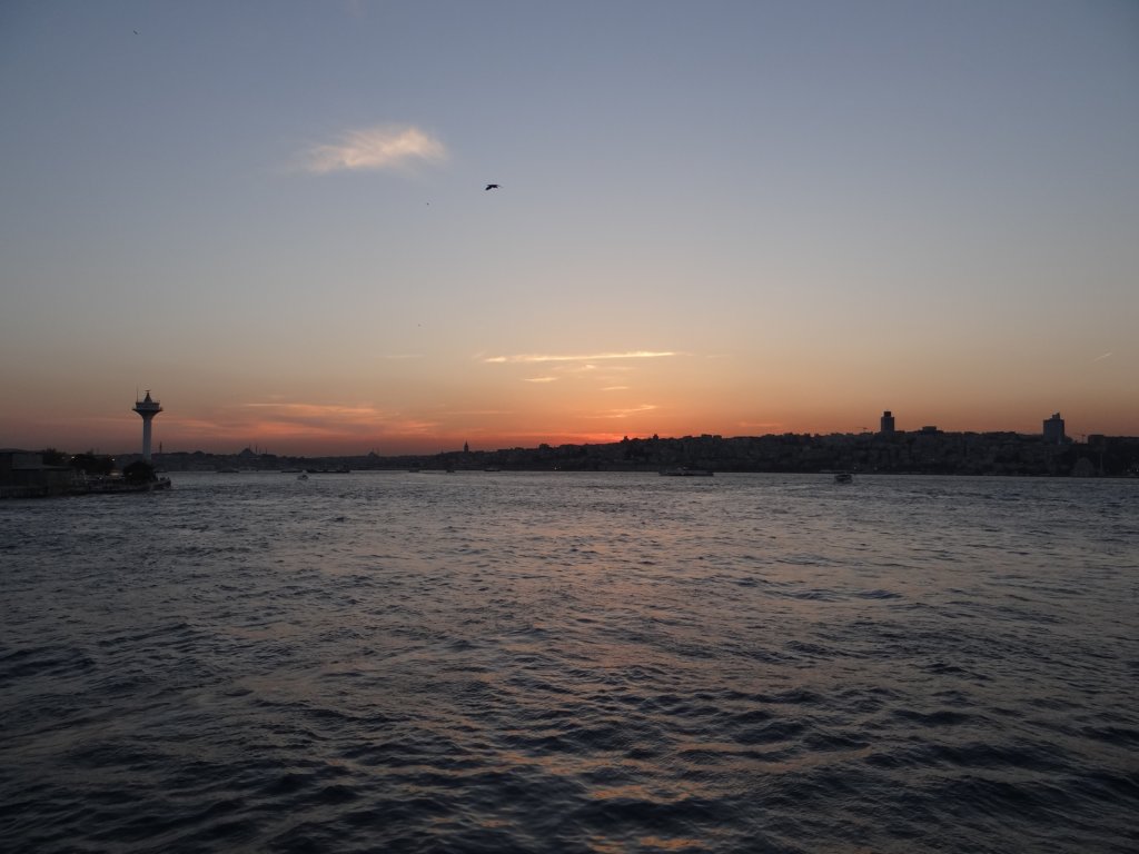 turkey2013273.jpg