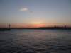 turkey2013273_small.jpg
