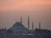 turkey2013274_small.jpg