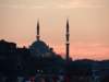 turkey2013276_small.jpg