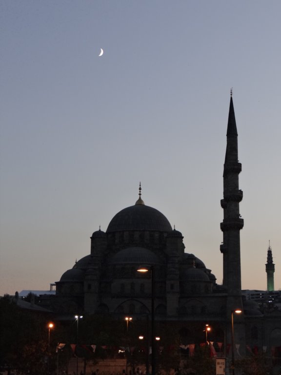turkey2013278.jpg
