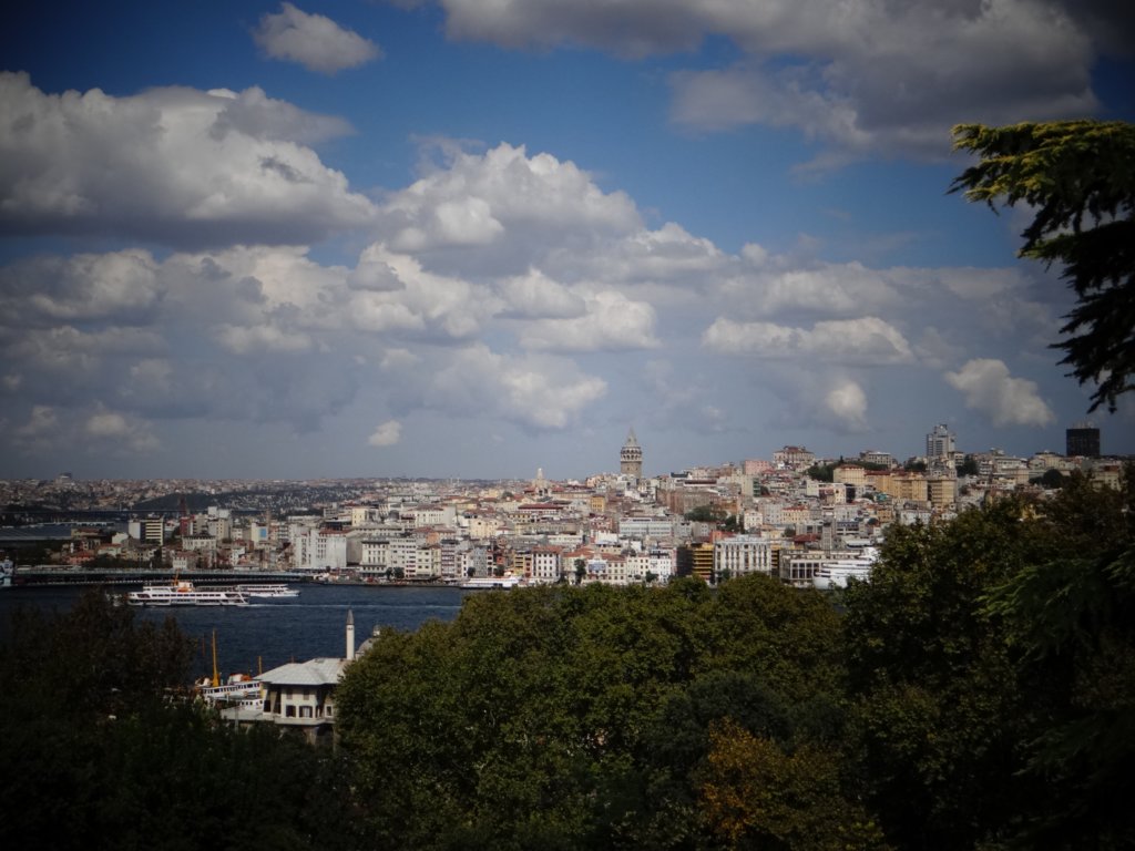 turkey201365.jpg