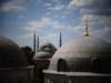 turkey201377_small.jpg