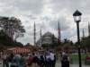 turkey201393_small.jpg