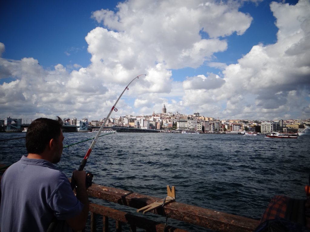 turkey201398.jpg