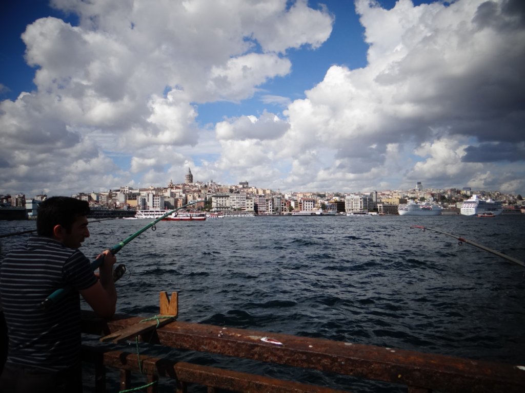 turkey201399.jpg