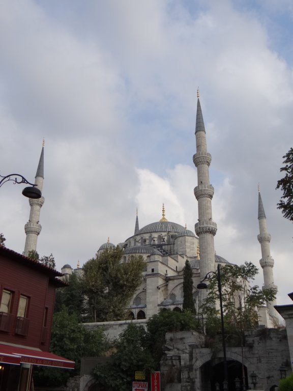 turkey2013.jpg