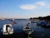 turkey201315_small.jpg