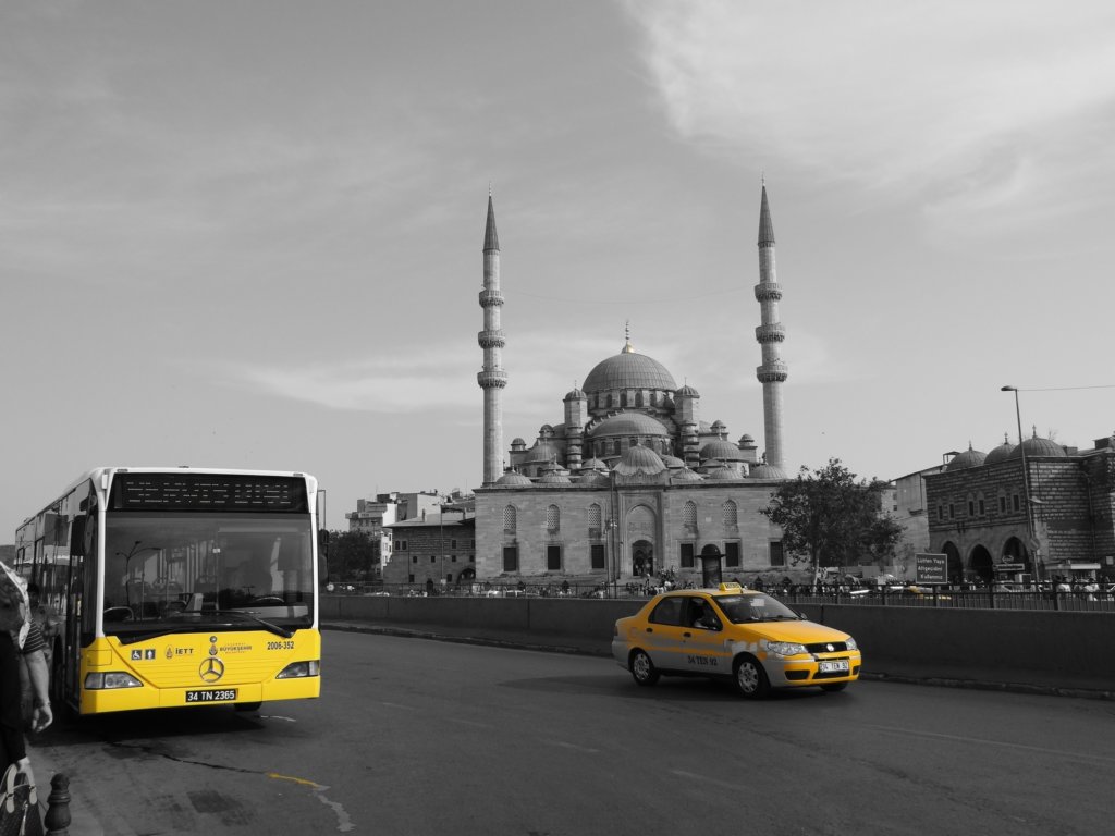 turkey201318.jpg