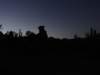 turkey2013108_small.jpg