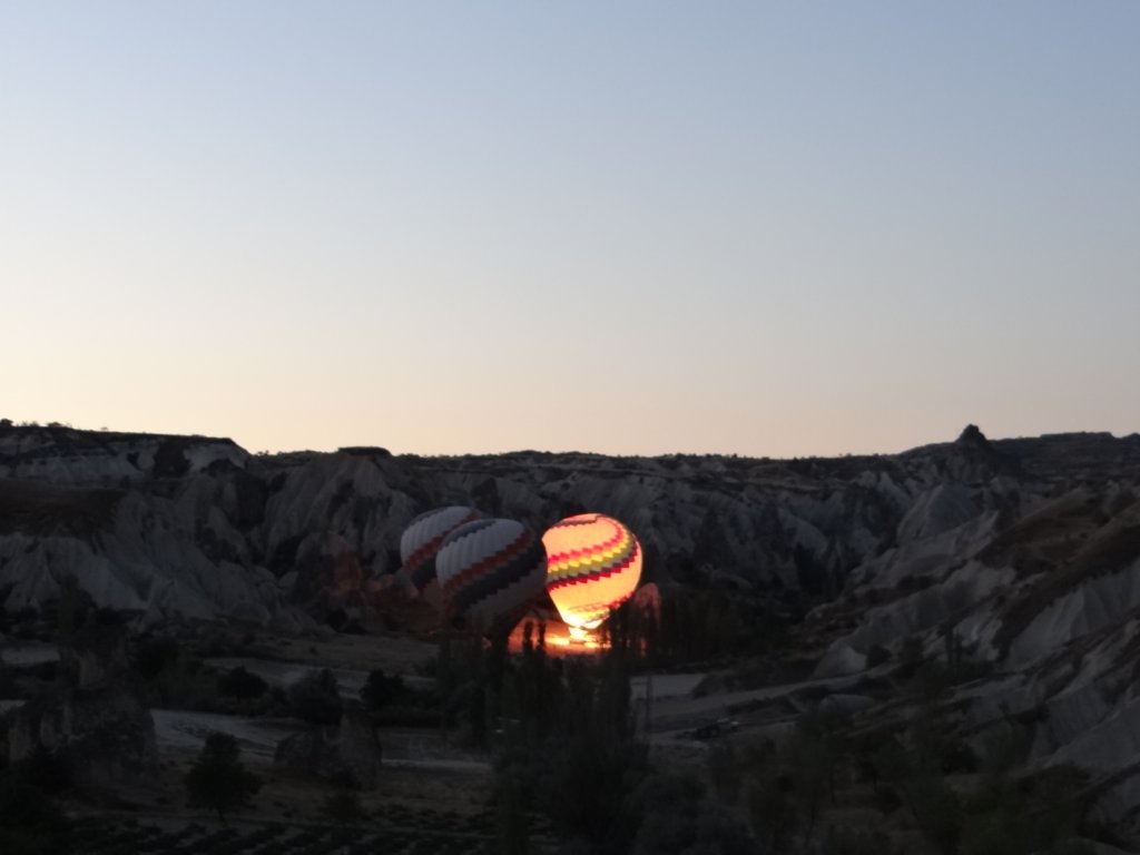 turkey2013113.jpg