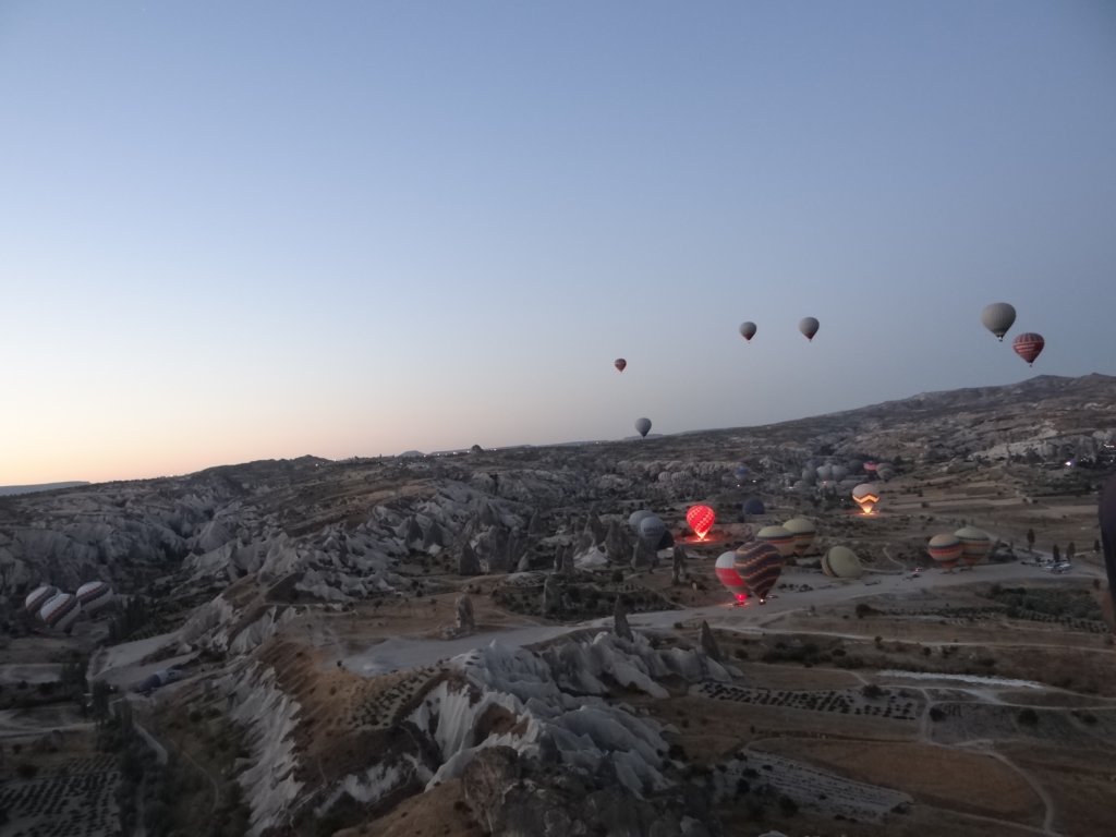 turkey2013115.jpg