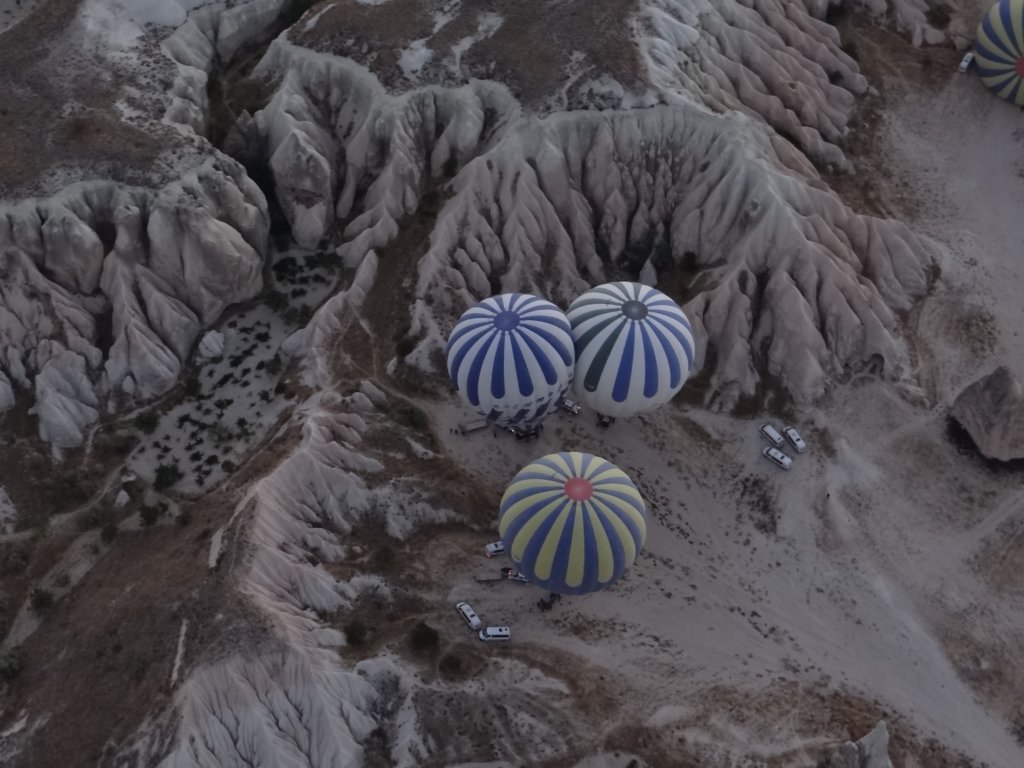 turkey2013119.jpg