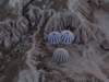turkey2013119_small.jpg