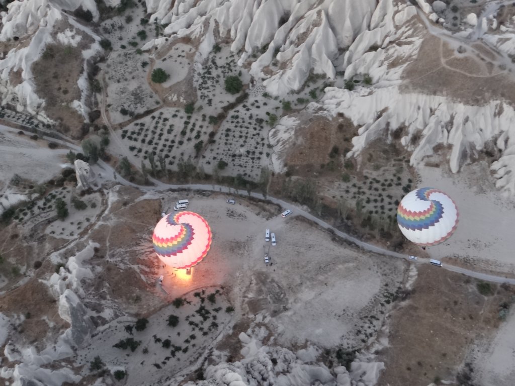 turkey2013121.jpg
