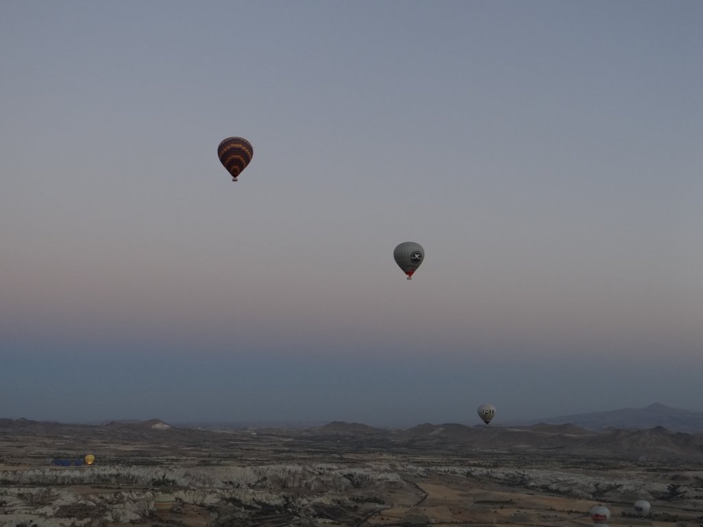 turkey2013124.jpg