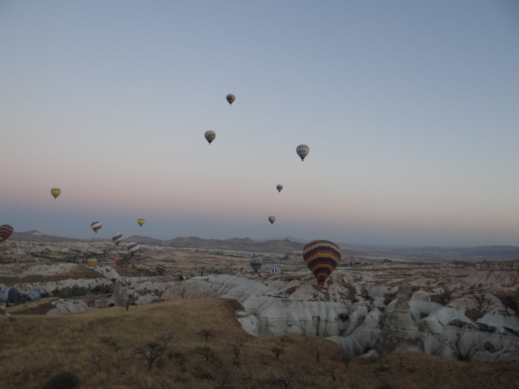 turkey2013127.jpg