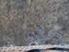 turkey2013128_small.jpg