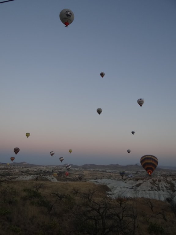 turkey2013129.jpg