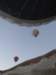 turkey2013133_small.jpg