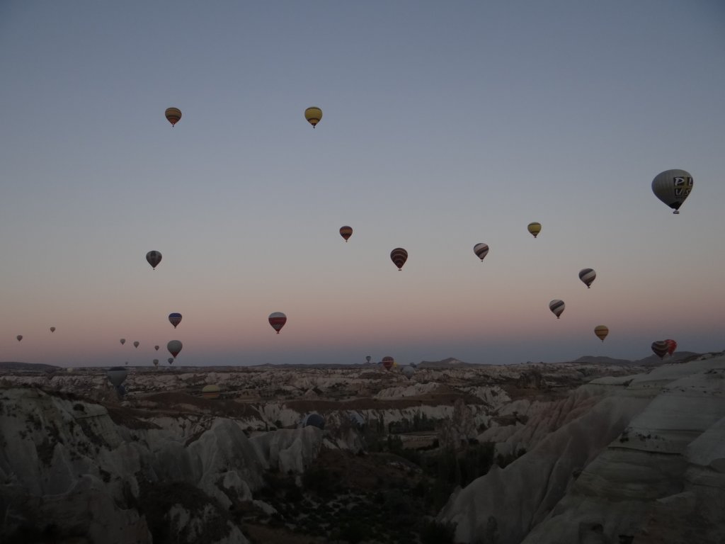 turkey2013134.jpg