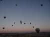 turkey2013136_small.jpg