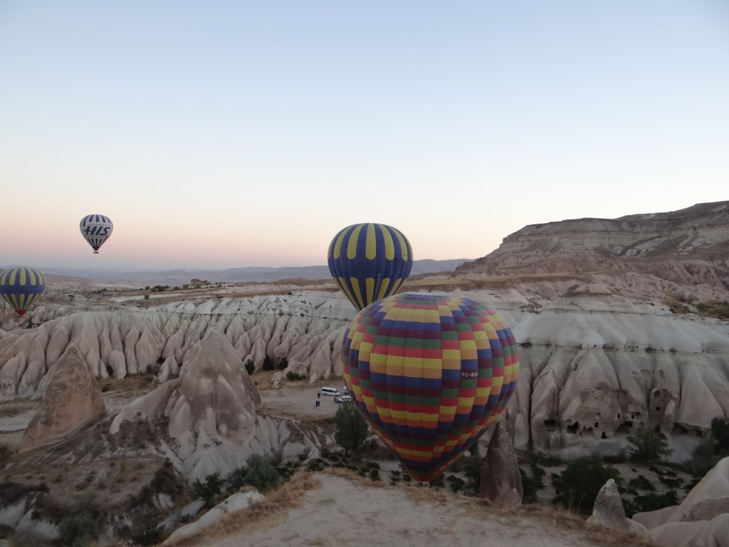 turkey2013137.jpg