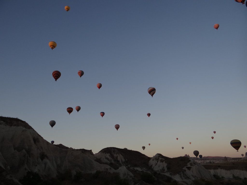 turkey2013141.jpg