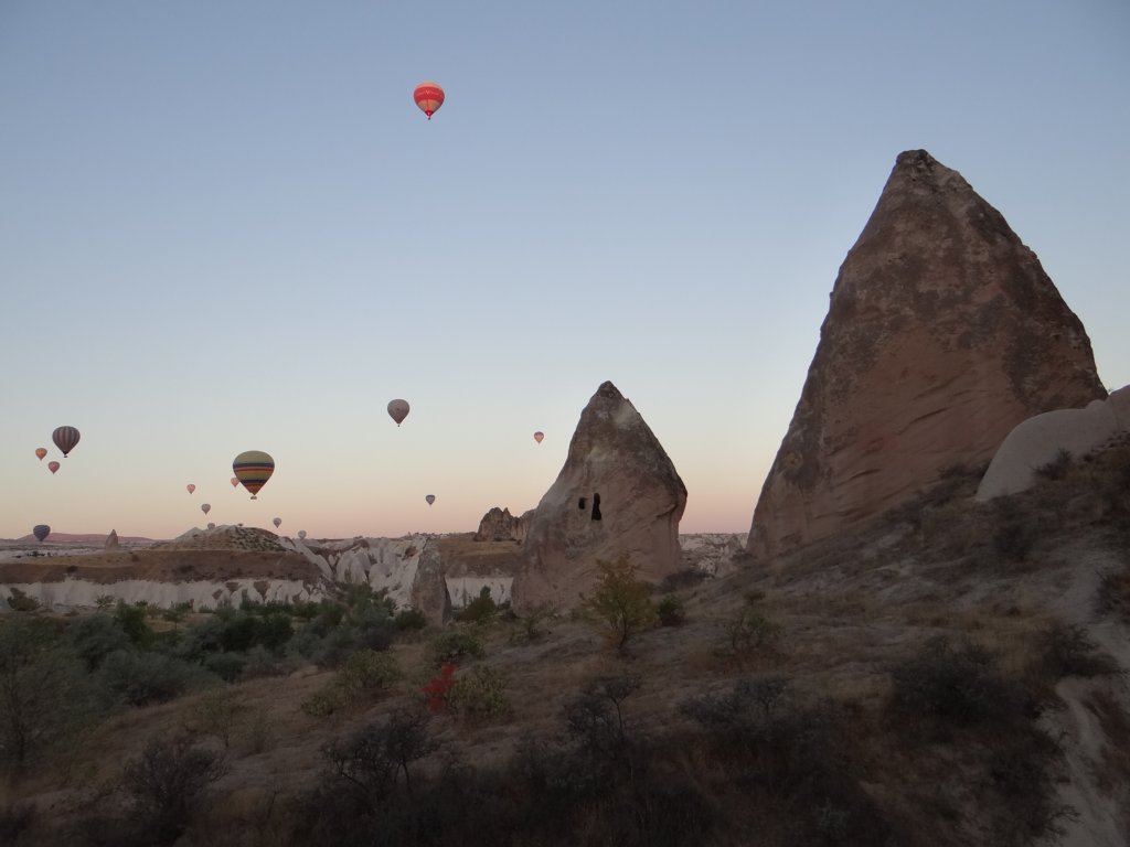 turkey2013142.jpg