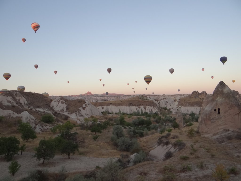 turkey2013143.jpg