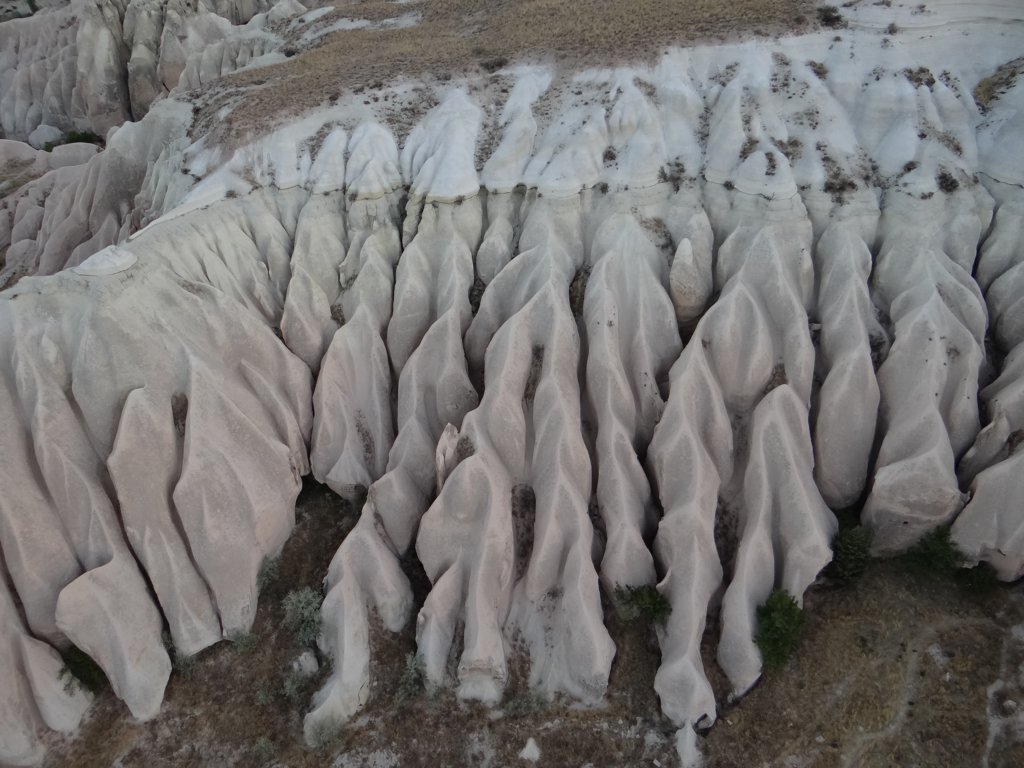 turkey2013144.jpg