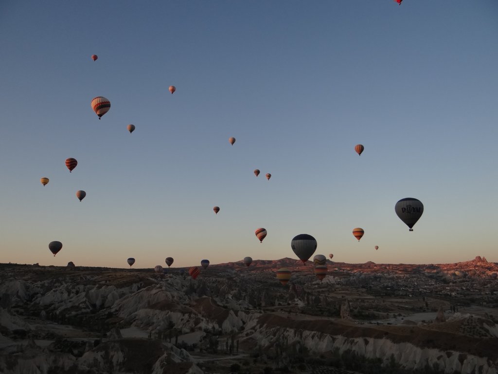 turkey2013145.jpg