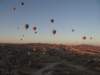 turkey2013146_small.jpg
