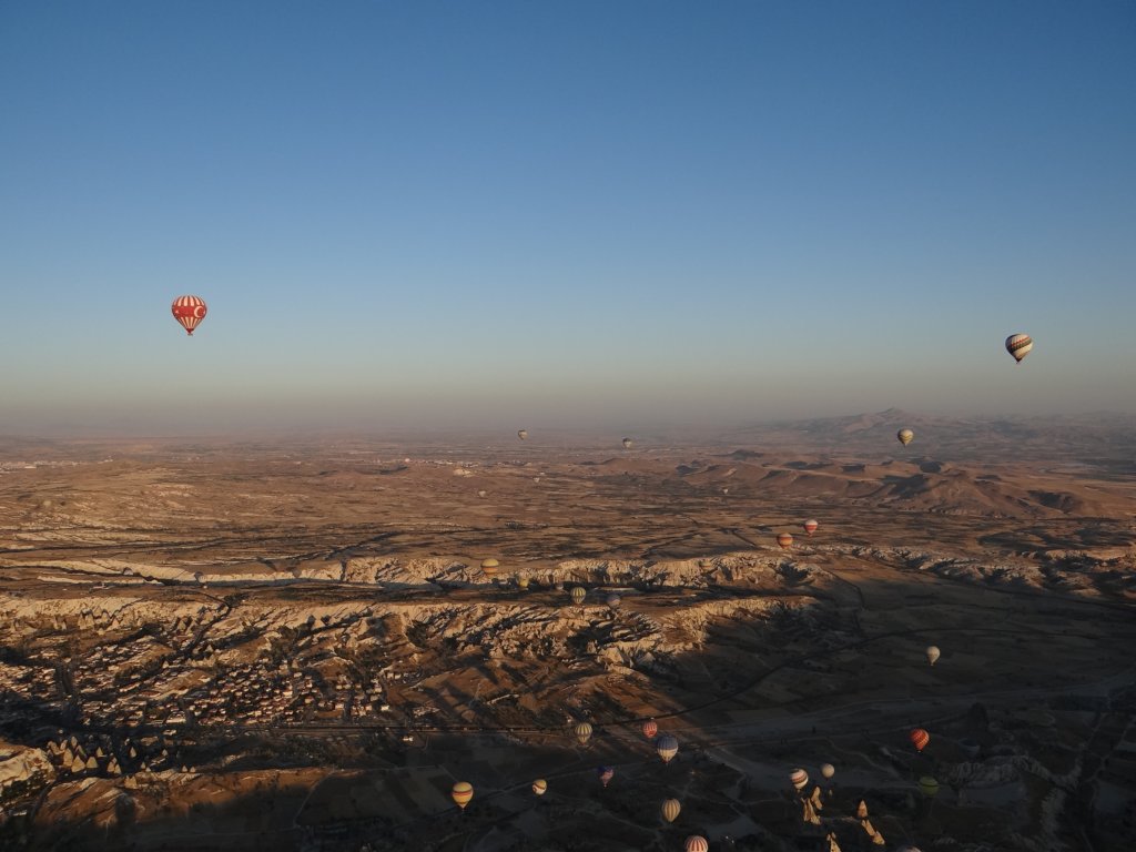 turkey2013153.jpg