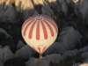 turkey2013157_small.jpg