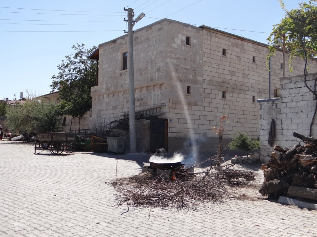 turkey2013162.jpg