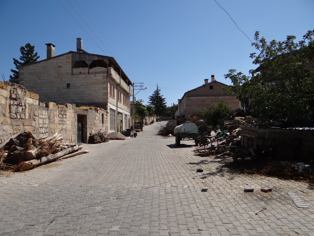 turkey2013164.jpg