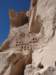 turkey2013171_small.jpg