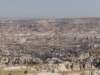 turkey2013173_small.jpg