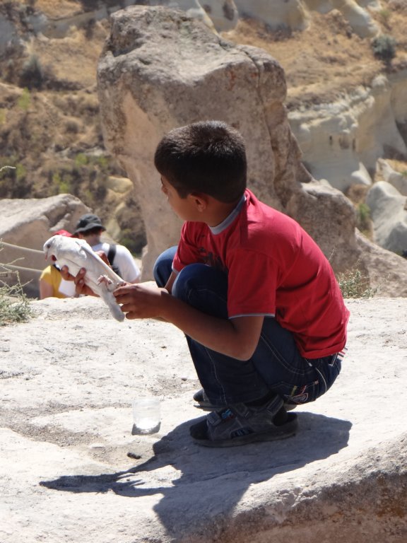 turkey2013175.jpg