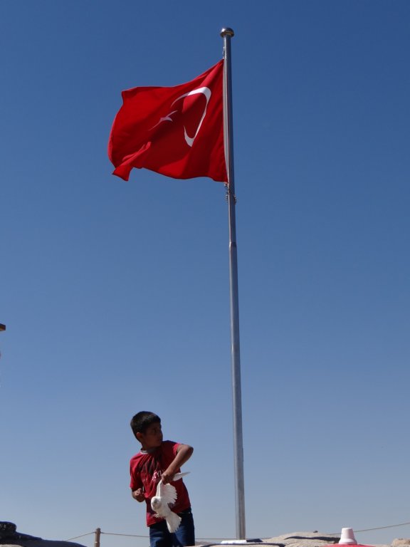 turkey2013176.jpg