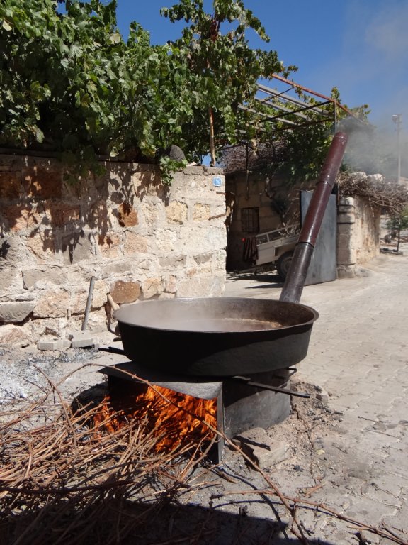 turkey2013177.jpg