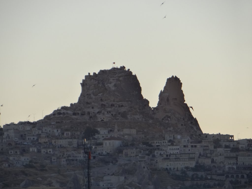 turkey2013181.jpg