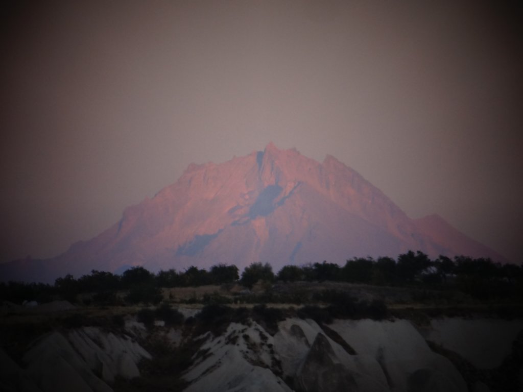 turkey2013183.jpg
