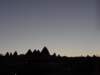 turkey2013184_small.jpg